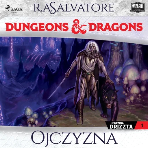 Ojczyzna. Dungeons&Dragons. Legenda Drizzta. Tom 1 (Forgotten Realms: The Dark Elf Trilogy, #1; Legend of Drizzt, #1)