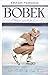 BOBEK