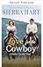 Un amour de cow-boy (Romanc...
