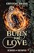 Burn for Love by Crystal Frost