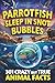 Parrotfish Sleep in Snot Bubbles by Tom Holiday