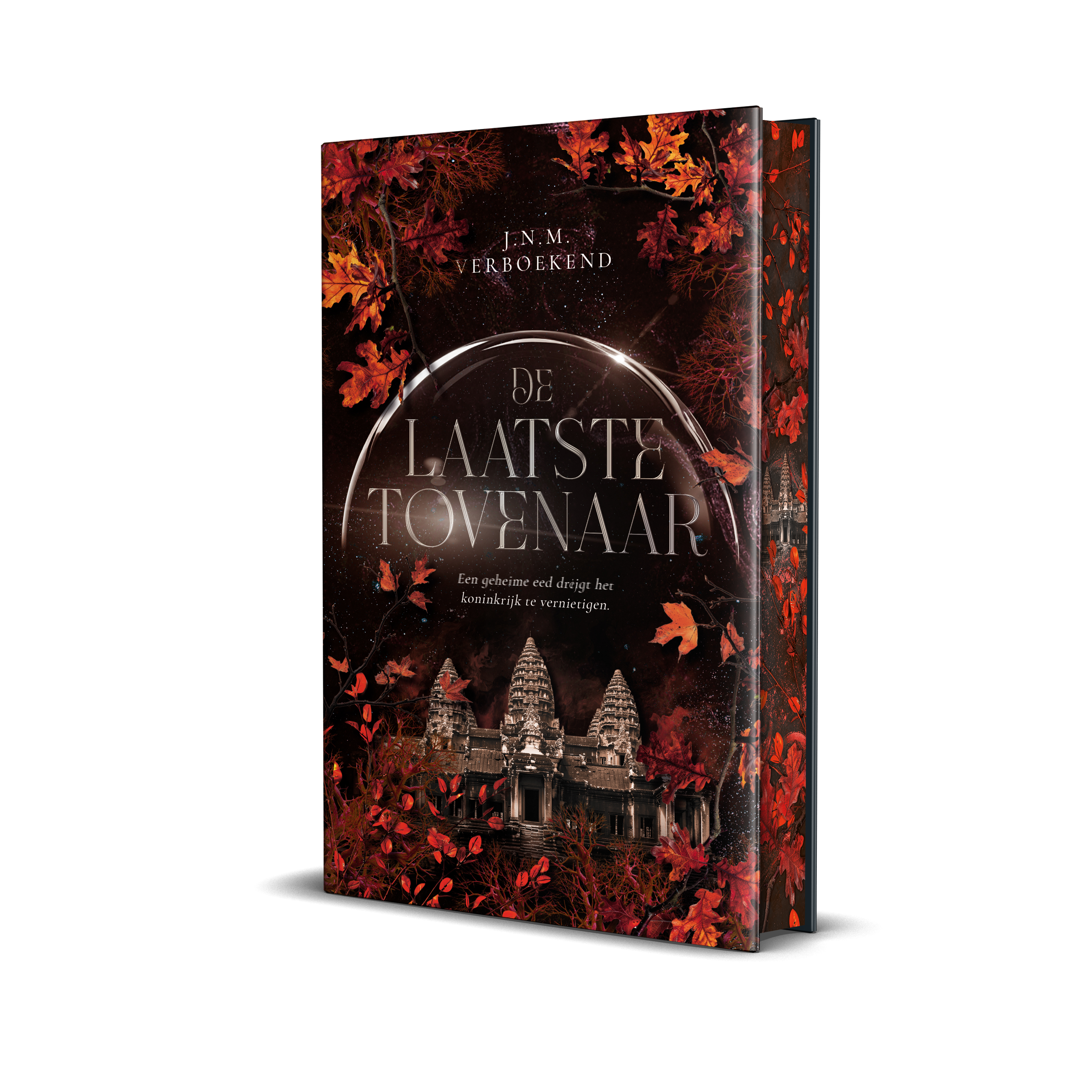 De laatste tovenaar (Koepels van macht, #2)