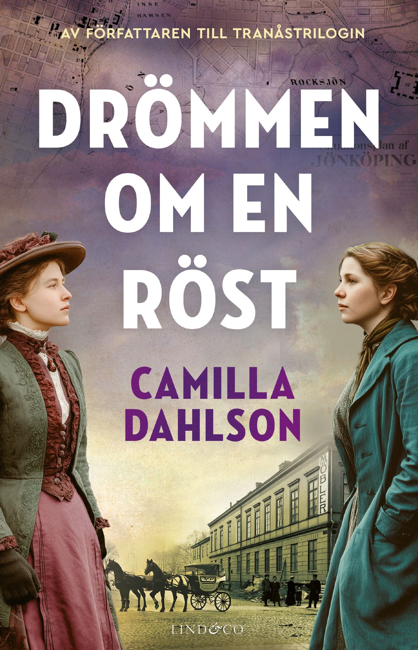 Drömmen om en röst (Gerda & Signe, #1)