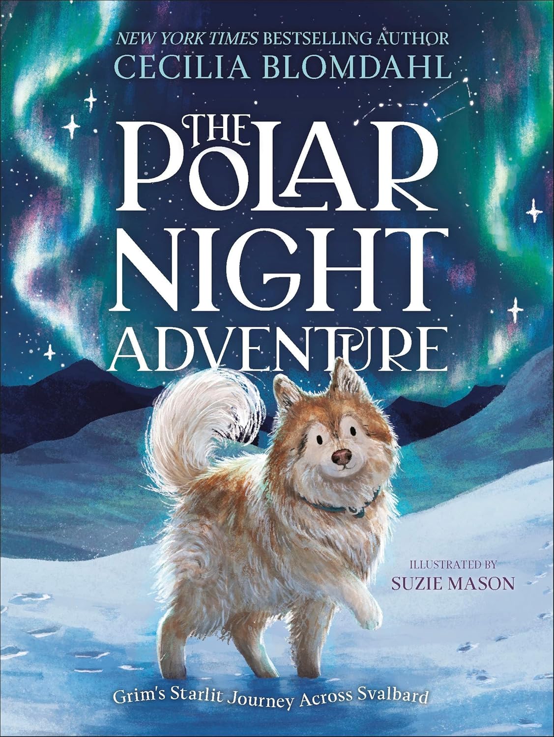 The Polar Night Adventure: Grim's Starlit Journey across Svalbard