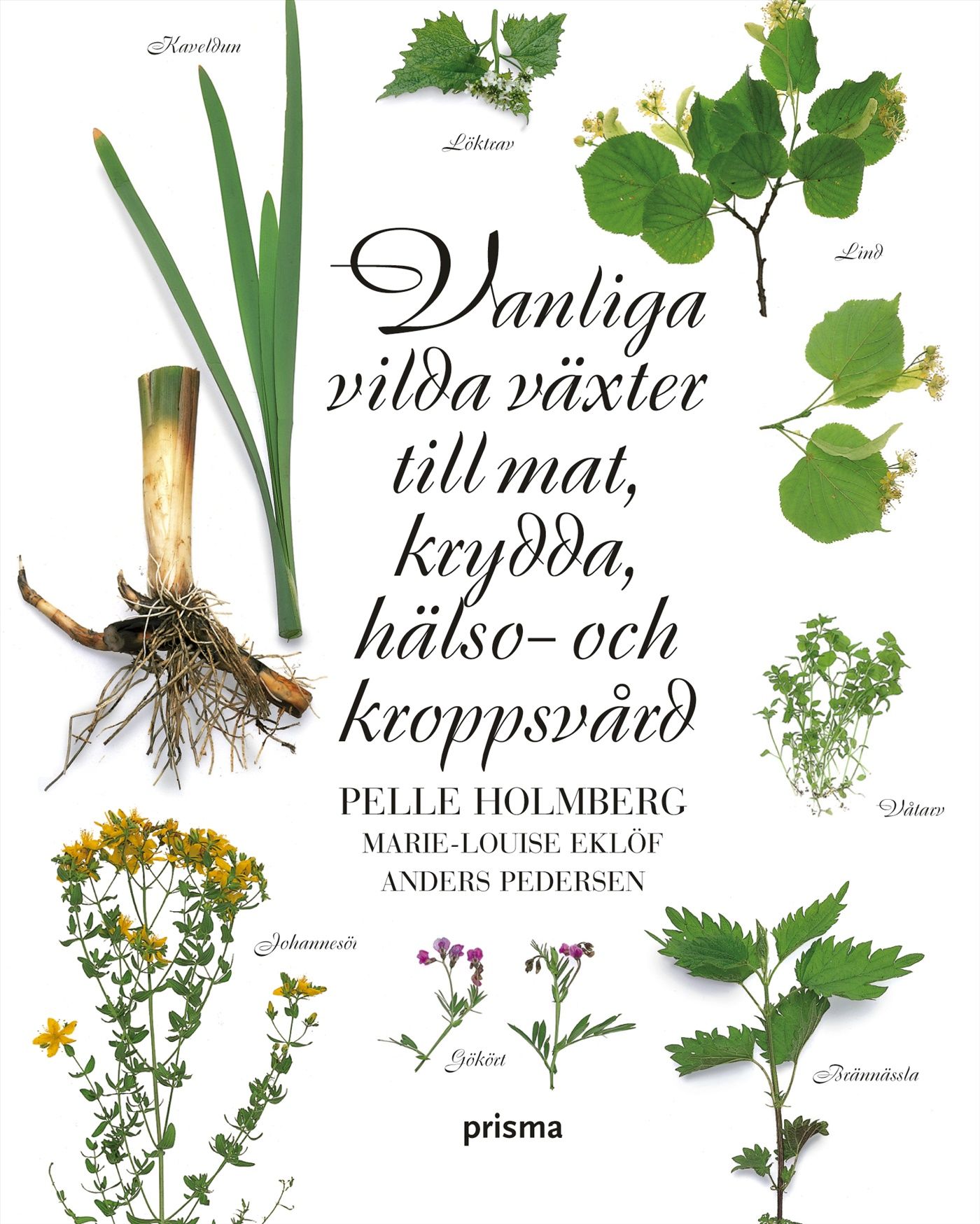 Vanliga vilda växter till mat, krydda, hälso- och kroppsvård