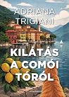 Kilátás a Comói-t...