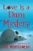 Love is a Dam Mystery by B.B.  Montgomery