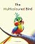 The Multicoloured Bird by Shelley Blond