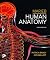 Marieb Human Anatomy by Patricia Brady