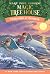 Dolphins at Daybreak (Magic Tree House, #9)