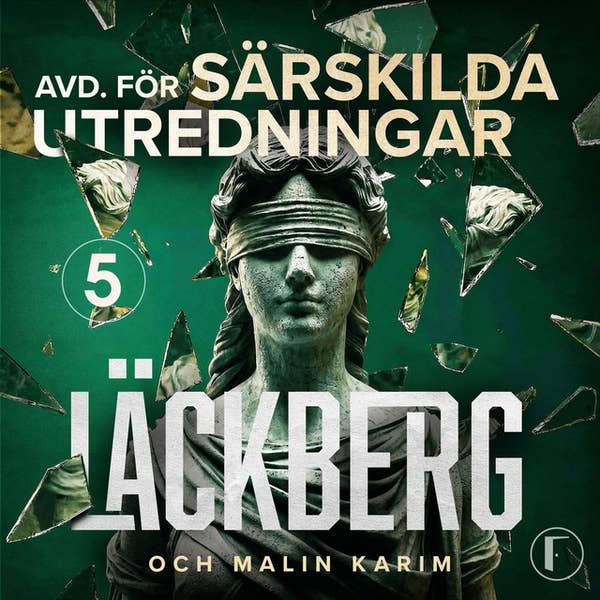 I lagens skugga (Avdelningen för särskilda utredningar, #5)