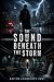 THE SOUND BENEATH THE STORM by Naiyem Chowdhury Rony THE SOUND BENEATH THE STORM by Naiyem Chowdhury Rony