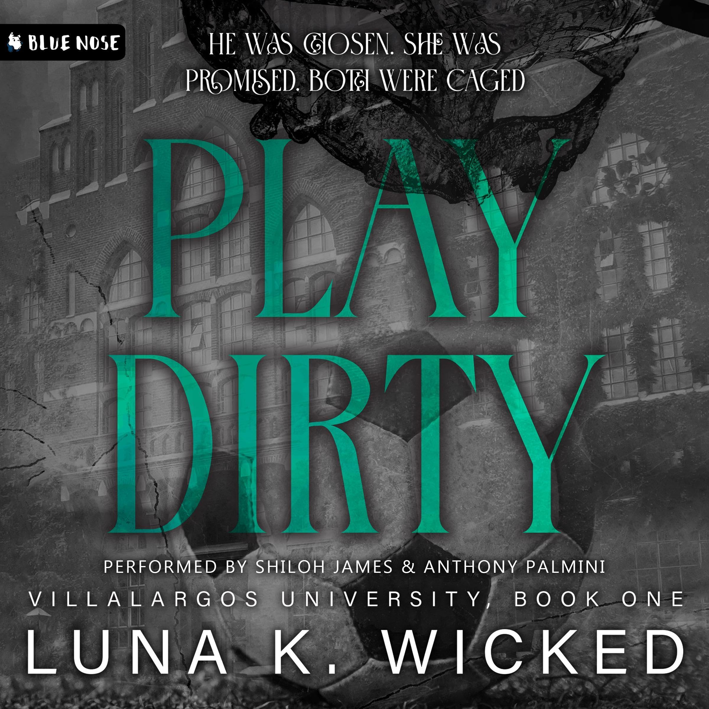 Play Dirty: Villalargos University (Audible Audio)