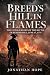 Breed's Hill in Flames by Jonathan Hope