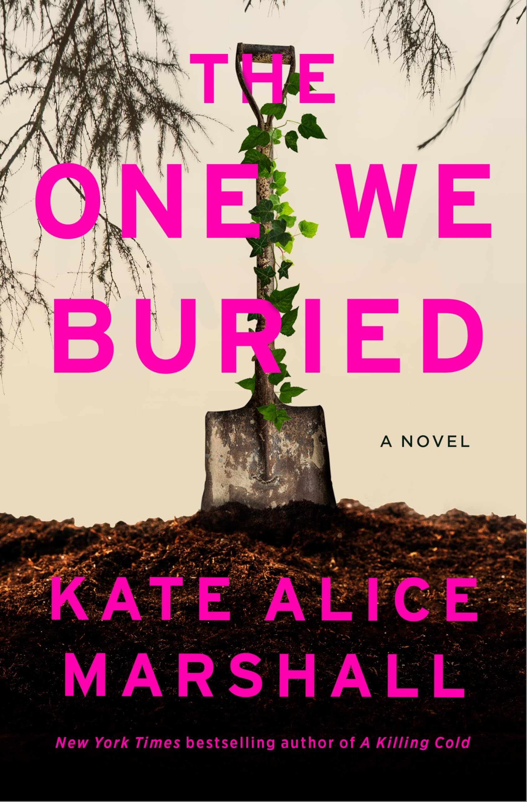 The One We Buried (Hardcover)