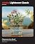 Adobe Lightroom Classic Cla...