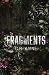 Fragments
