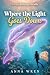 Where The Light Goes Down: ...
