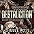 Destruction by Chelle Rose