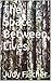The Space Between Lives by Judy Fischer