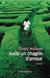 Juste un chagrin ...