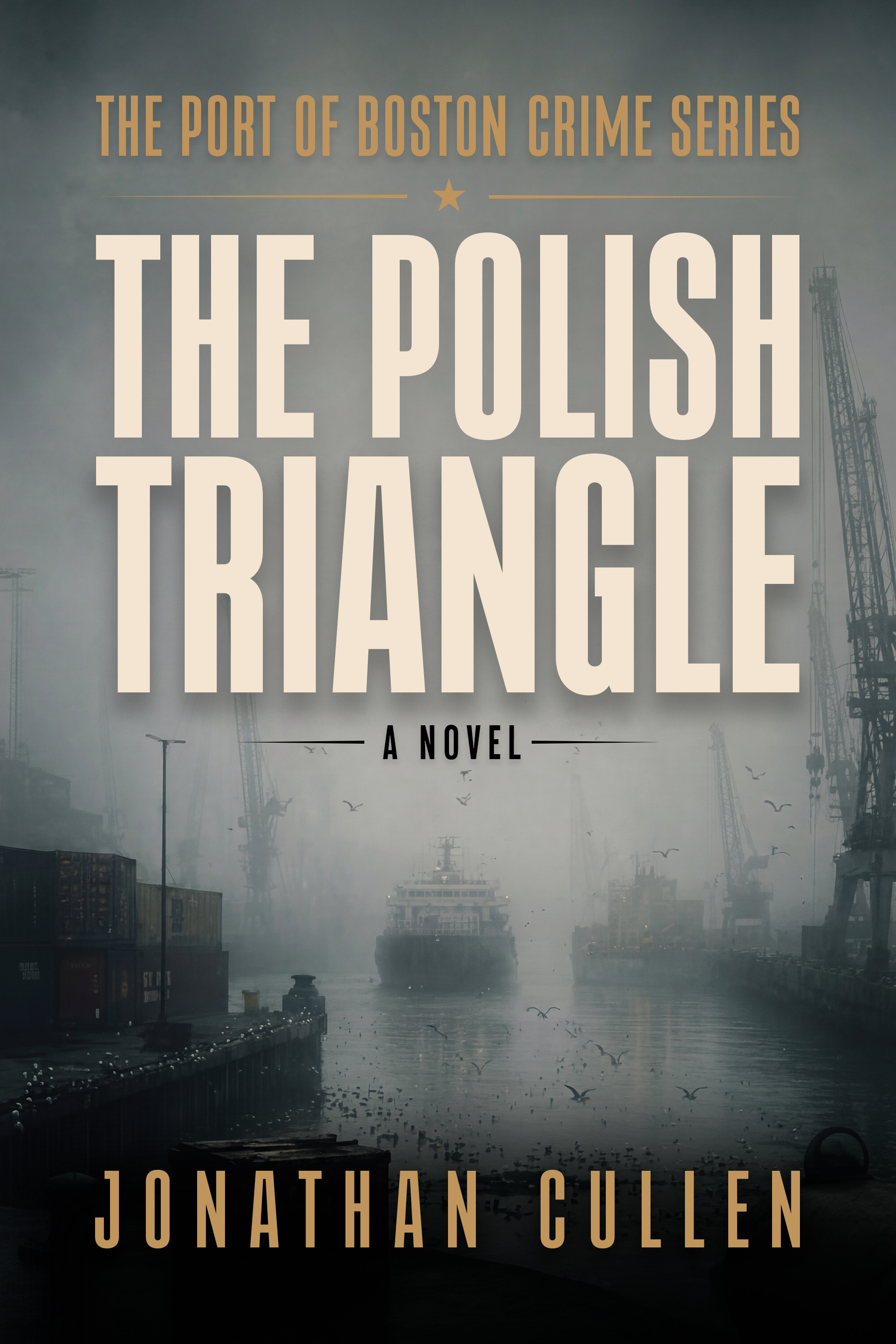 The Polish Triangle: A Jody Brae Mystery (Port of Boston Crime Series Book 3)