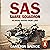 Sabre Squadron