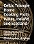 Celtic Triangle Home Cookin...