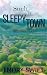 Such a Sleepy Town by Emory Swift