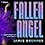 Fallen Angel: An Erotic Rom...