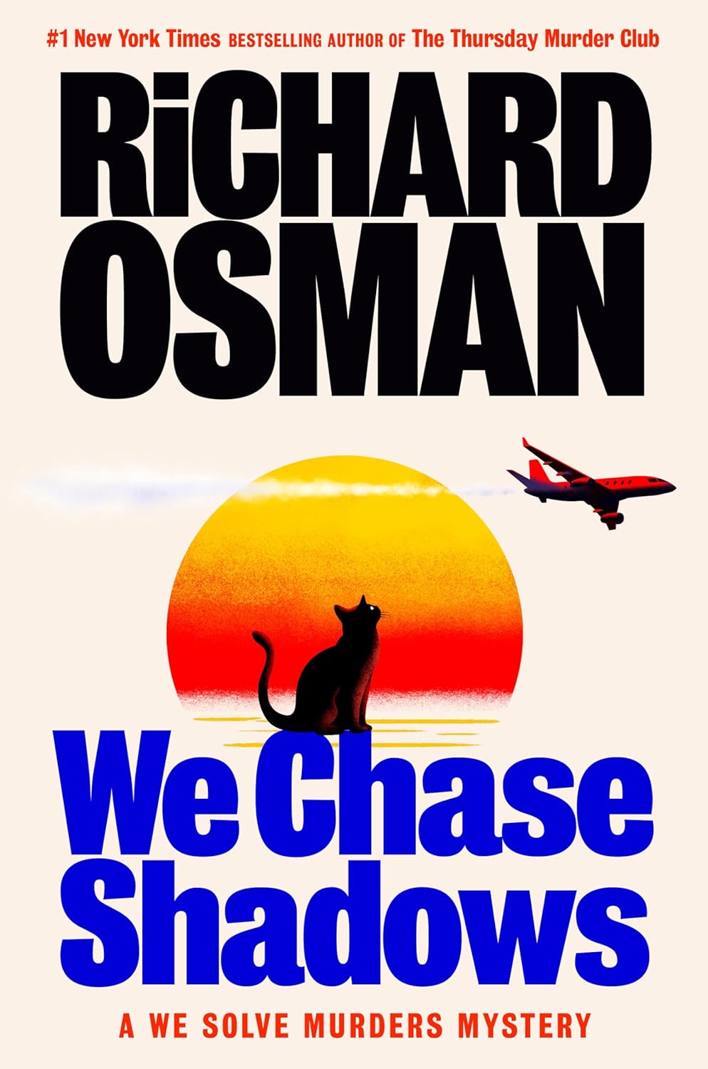 We Chase Shadows (We Solve Murders, #2)