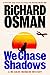 We Chase Shadows (We Solve Murders, #2)