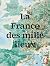 La France des mille lieux -...