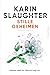 Stille geheimen (North Falls, #2)