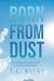 Born from Dust: 9/11, Reali...