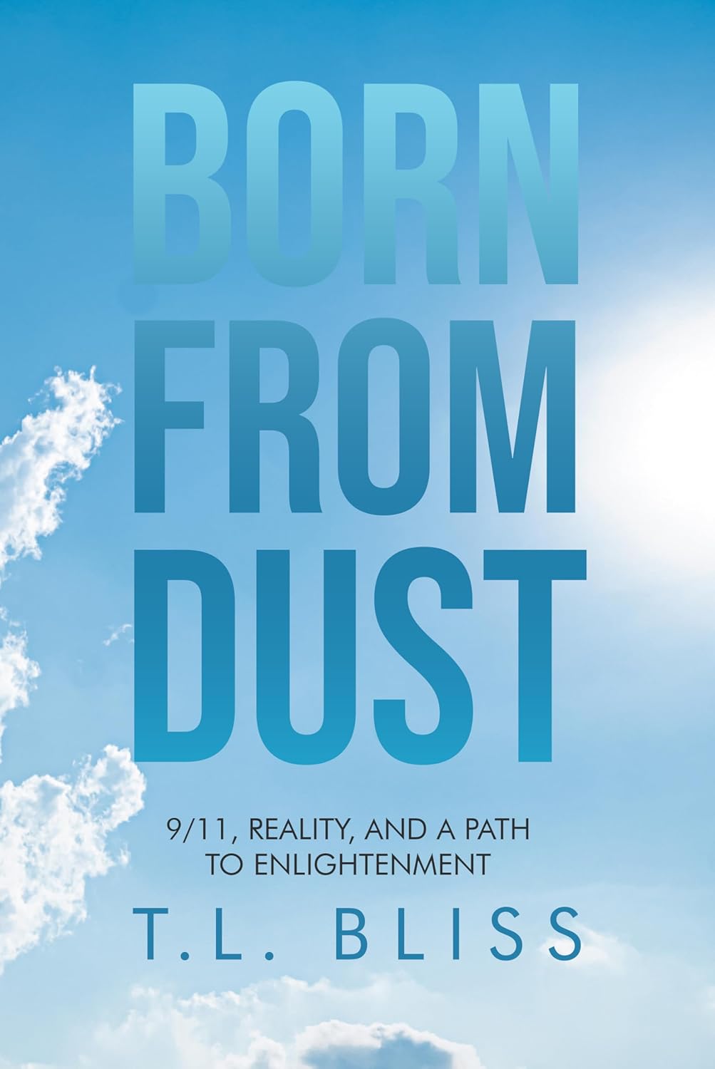 Read Born from Dust: 9/11, Reality, and a Path to Enlightenment