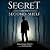 The Secret On The Second Shelf by Jonathan   White