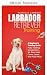 Éducation du labrador retri...