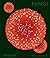 Fungi: The World of Mushrooms
