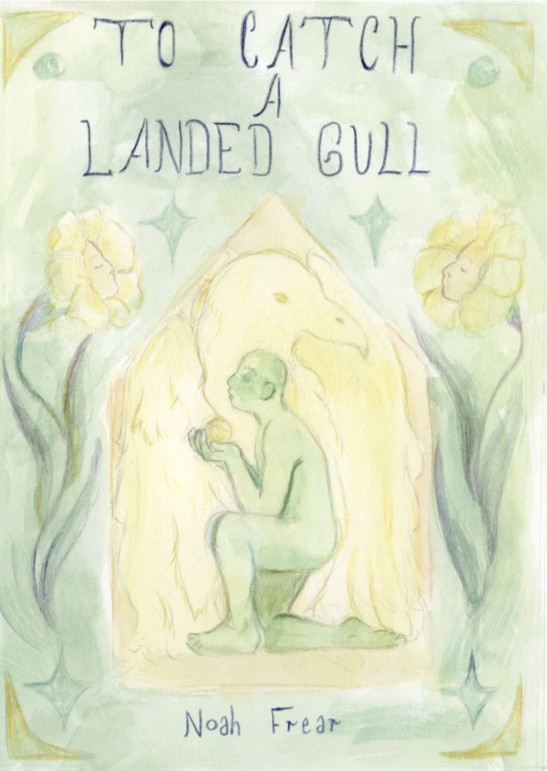To Catch A Landed Gull (Paperback)