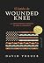 El latido de Wounded Knee: ...