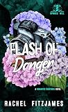 Flash of Danger