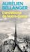 L'architecte de Notre-Dame