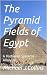 The Pyramid Fields of Egypt...