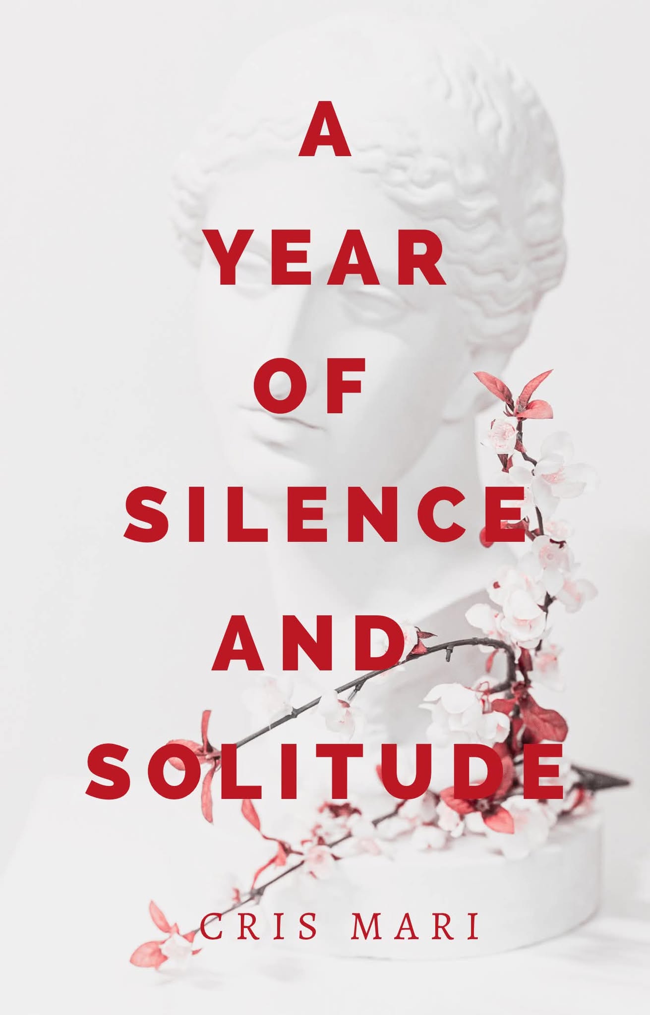 A Year of Silence and Solitude
