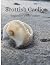 Scottish Gaelic beginner 1:...