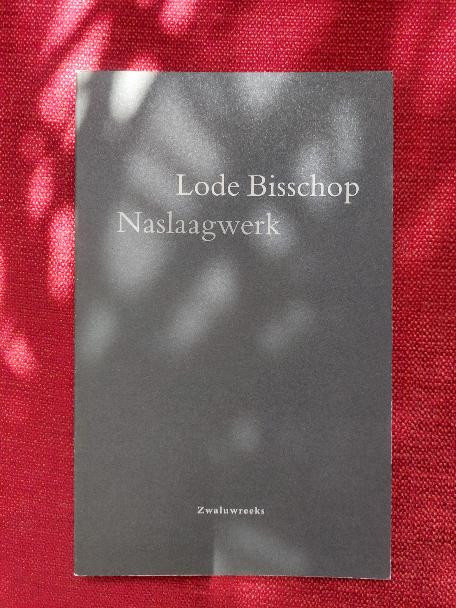 Naslaagwerk (Paperback)