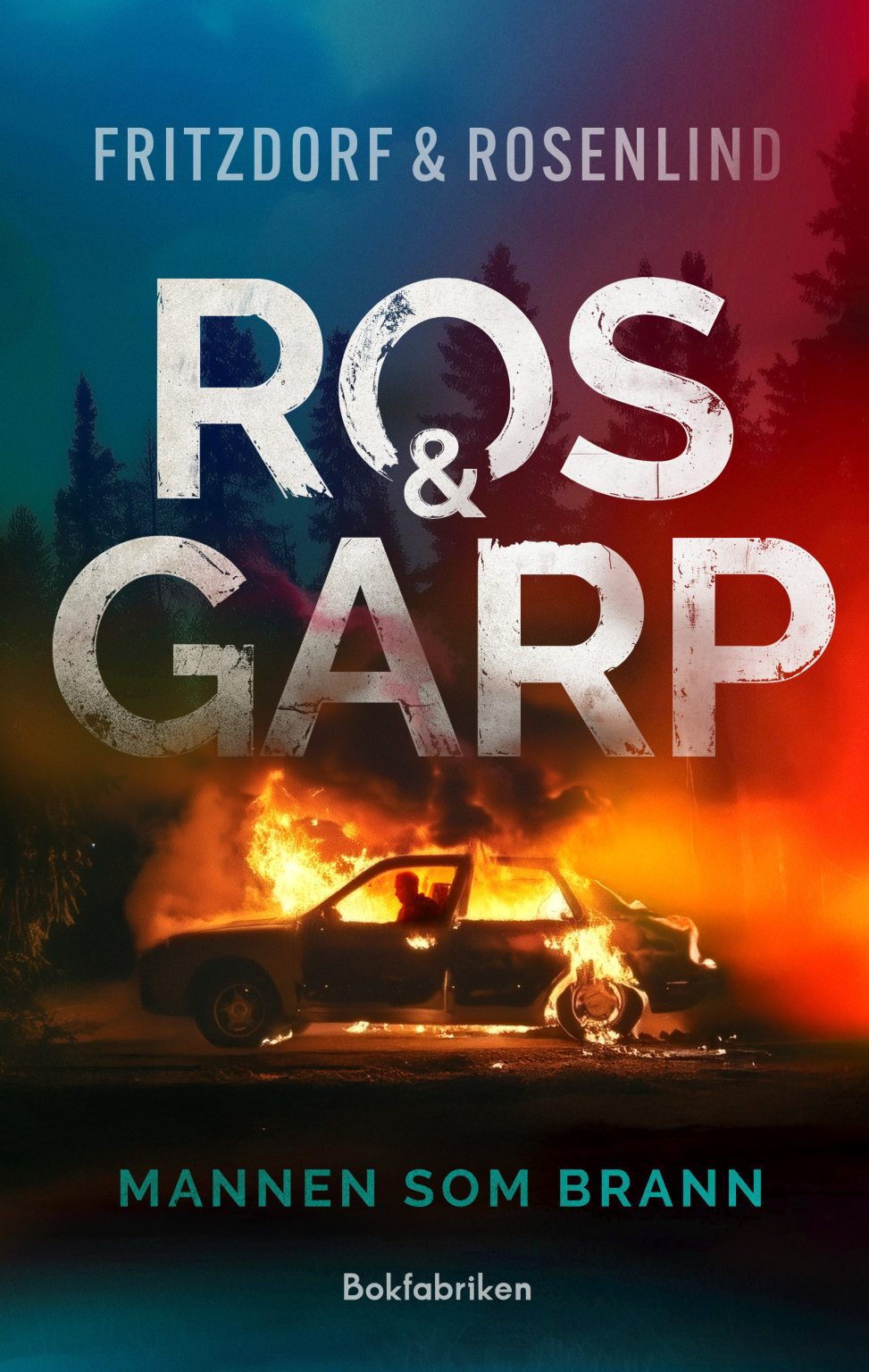 Mannen som brann (Ros & Garp, #1)