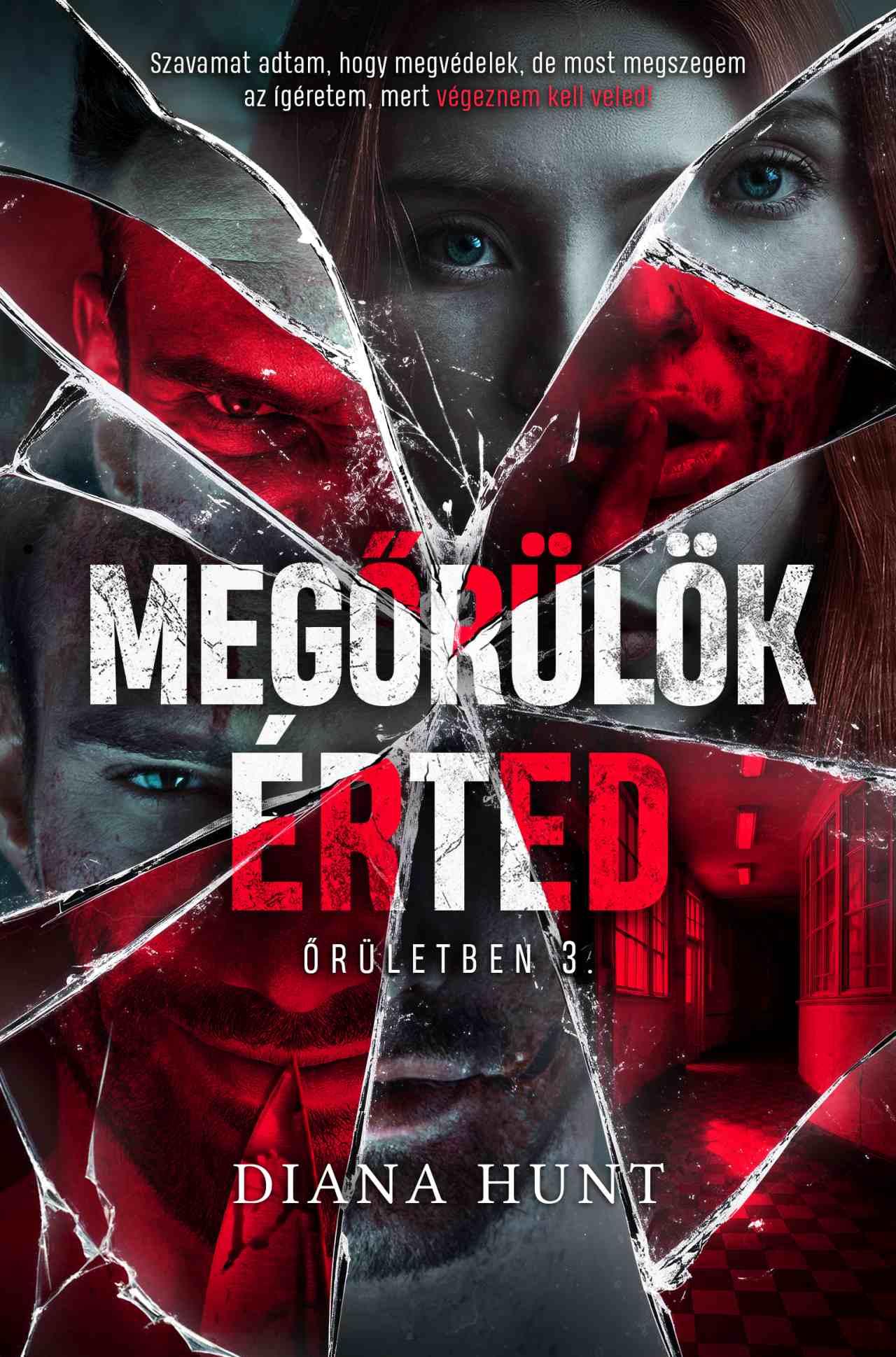 Megőrülök érted (Őrületben, #3)