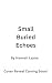 Small Buried Echoes (Lift B...